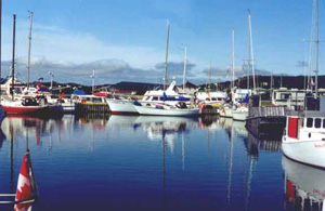 Bay Roberts Marina