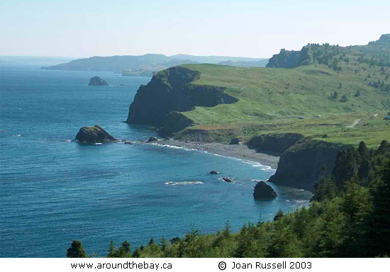 Spout Cove Conception Bay