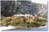 Baccalieu Island